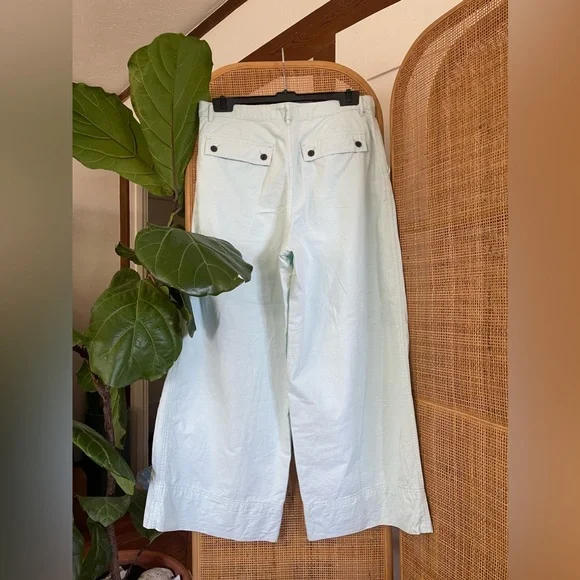 EVERLANE ORGANIC COTTON WIDE LEG ICE BLUE PANTS SZ 14 - Picture 5 of 9
